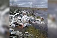 Вода отравлена? Вышедшая из берегов Ахтуба затопила несанкционированную свалку под Волгоградом