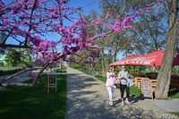 В офис как на праздник? Волгоградцам объяснили, когда их могут вызвать на работу на майские