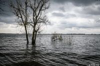 «Работаем на тех же участках»: в Светлоярском районе продолжились поиски попавшего в шторм рыбака