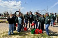 В арт-парке Волжского пивовары высадили молодые клены