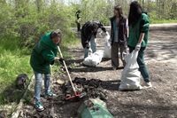 Волгоградцы расчистили «Остров Людникова» от пластика и других отходов