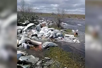 Под Волгоградом организована проверка по факту затопления несанкционированной свалки