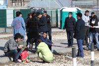 Волгоградским предприятиям придётся ускориться для ввоза мигрантов