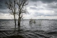 Нашли на месте крушения: стали известны подробности гибели волгоградского бизнесмена Александра Назарова