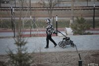Детские коляски и животных запретили на массовых мероприятиях в Волгограде