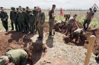 Под Волгоградом поисковики СК подняли останки четверых красноармейцев