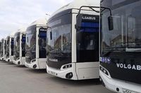 Волгоград и Волжский получат 49 новых автобусов в рамках проекта «ИДЖ»