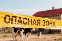Под Волгоградом хутор превратили в запретную зону из-за бешенства