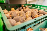 Волгоградцам объяснили, почему в магазинах не осталось российского картофеля