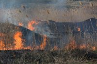 Пожары из-за майского потепления грозят району Волгоградской области