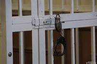 Полицейские задержали устроившего 9 мая резню  у магазина волгоградца