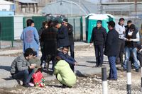 281 нелегальных мигрантов из Азии выдворили из Волгоградской области