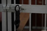 Штрафом и арестом наказали участников конфликта  под Волгоградом