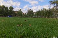 УФАС признало покос травы в парке «Волжский» вне закона