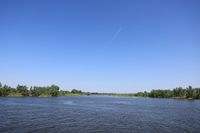 Бочаров: впервые за 10 лет обводнение Волго-Ахтубинской поймы достигло 90%