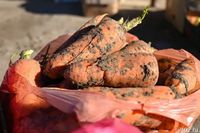 Волгоградская область подтвердила статус морковно-луковой столицы РФ