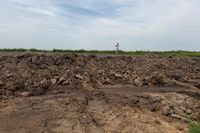 Под Волгоградом свиноферма завалила «пахучими» отходами 1500 кв.м. земли