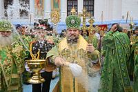 В волгоградских храмах отмечают Троицу: зачем в храмах стелют траву и как в народе судят о погоде