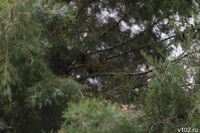 В Волгоградской области строго запретили посещать три лесничества