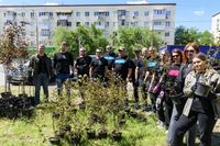 Вместе растим будущее: T2 высадила в центре Волгограда зеленую аллею