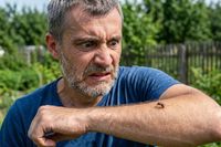 «Не теряйте время на консультации с ИИ»: инфекционист рассказала о главной опасности комариных укусов