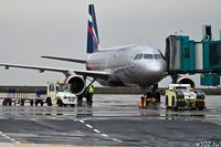 В Волгограде до десяти увеличилось количество задерживающихся авиарейсов