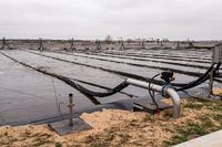 Заказчика стройки на острове Голодный в Волгограде оштрафовали на 100 тыс. рублей