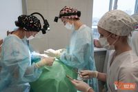 Ежемесячные выплаты могут получать волгоградские студенты-медики