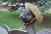 Жители Волжского подготовили к лету очаровательных сусликов из гипса: как они выглядят теперь?