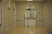 «Так плохо нам еще никогда не было»: жители Камышина рассказали о массовом отравлении роллами