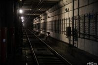 В Волгограде начнётся ремонт путей в туннелях СТ за 59 млн рублей