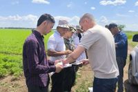 Волгоградские силовики уехали в поля в поисках нелегалов