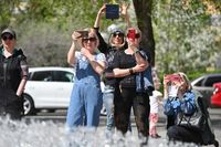 Волгоградцы смогут пожаловаться на чиновников, УК и соседей через MAX