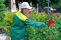 «Красный октябрь» трудоустроит 60 подростков на время летних каникул
