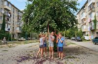Вкус родом из детства: откуда в Волгоградской области появился тутовник, и почему его почти не рвут сейчас