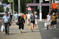 Волгоградцам рассказали о новых законах, вступающих в силу с 1 июля
