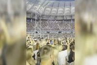 «Вернулись в молодость»: волгоградцы делятся впечатлениями от концерта «Руки Вверх!»