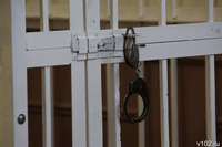 Под Волгоградом на фоне топливного ажиотажа задержали мигранта за слив дизеля