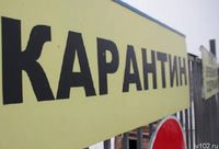 Карантин по бешенству ввели в сельском поселении Волгоградской области