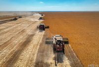 Цель – 6,5 млн тонн: уборка урожая стартовала в Волгоградской области