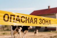 Под Волгоградом в хуторе Ярской 1-й сняли двухмесячный карантин