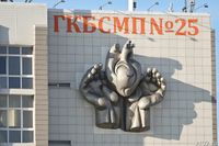 Волгоградские врачи спасли покусанного «чёрной вдовой» подростка из Калача-на-Дону
