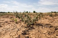 Экстремальная жара обрушится на Волгоградскую область: когда ее ждать?