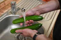 В Волгоградской области в сезон местных овощей дорожают огурцы