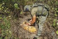Под Волгоградом нашли снаряд времен Сталинградской битвы