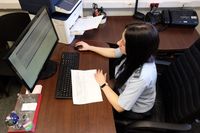 В пяти волгоградских зоомагазинах незаконно торговали ветпрепаратами