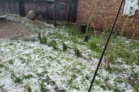 «Такого здесь не видели уже полвека»: в Старополтавском районе устраняют последствия удара стихии