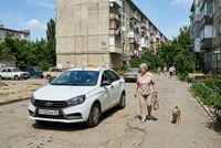 В Волгограде меняются правила перевозки животных в такси