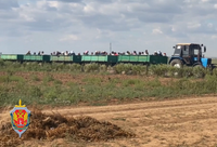 На огуречных полях под Волгоградом УФСБ и полиция нашли нелегалов