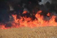 Волгоградцы из-за крупного пожара остались без света, воды и АЗС